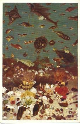POSTAL A1959: Fondo marino