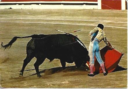 POSTAL A1978: Diego Puerta en un natural