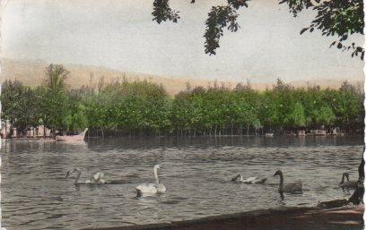 POSTAL PV01144: El Lago de Puigcerda