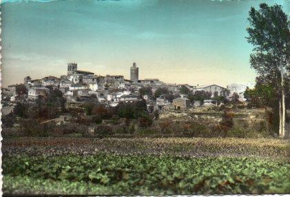 POSTAL PV01093: Vista parcial de Pals
