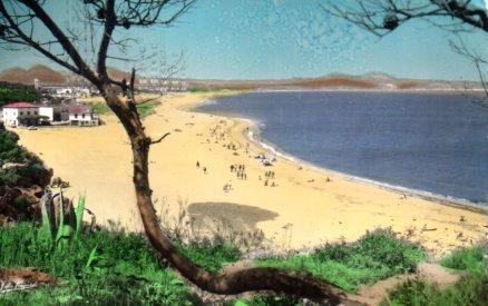POSTAL PV01181: La playa de Pals, Gerona
