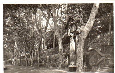 POSTAL PV01013: Fuente de San Roque en Olot, Gerona