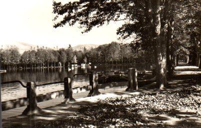 POSTAL PV01028: El Lago de Puigcerda