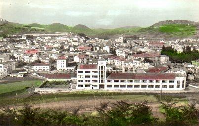POSTAL PV01036: Vista parcial de Olot
