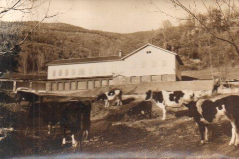 POSTAL PV01226: Refugio Clave en Planolas, Gerona
