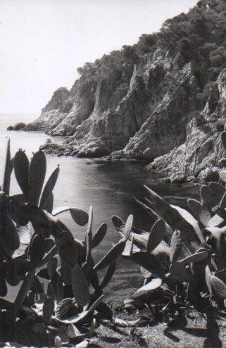 POSTAL PV01272: Aigua Xelida en Tamariu