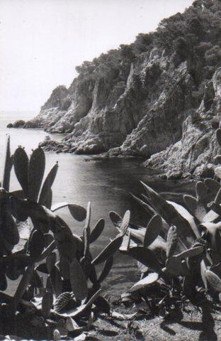 POSTAL PV01272: Aigua Xelida en Tamariu