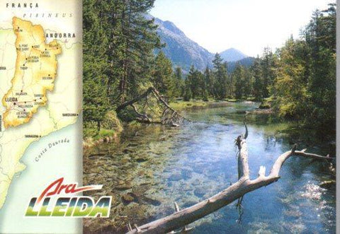 POSTAL PV01334: Publicitad Ara Lleida