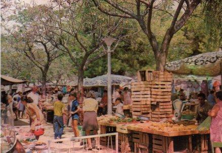 POSTAL PV00545: Mercado en Pineda de Mar