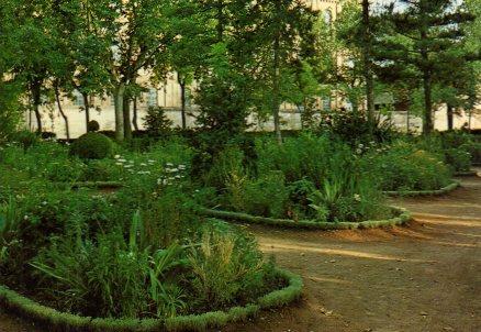 POSTAL PV00463: Jardines del Paseo en Manzanares