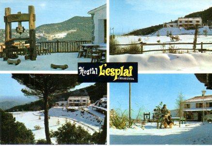 POSTAL PV00509: Hostal L'Esplai en Orsavinya, Barcelona