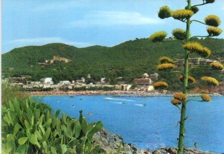 POSTAL PV00480: Vista de Llafranch