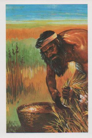 Postal E07434:  Las Mas Bellas Tarjetas Postales Siglo XIX y XX. Egipto Tierra de Faraones (6)
