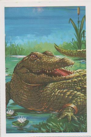 Postal E07432:  Las Mas Bellas Tarjetas Postales Siglo XIX y XX. Egipto Tierra de Faraones (4)