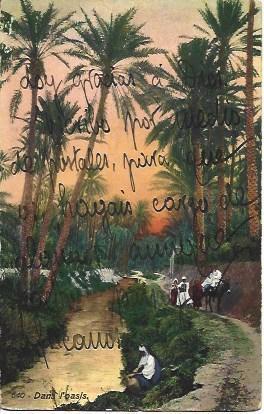 POSTAL A2755: Dentro de un oasis