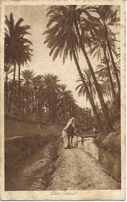 POSTAL A2754: Oasis