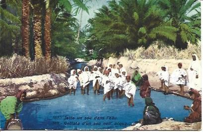 POSTAL A2779: Baño en el oasis