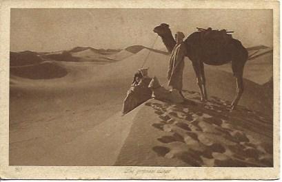 POSTAL A2778: Hombres y camello en el desierto
