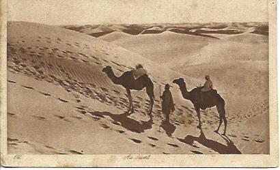 POSTAL A2721: Camellos en el Sahara