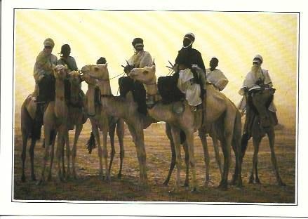 POSTAL A2537: Teguidda I-n-Tessoum en Niger