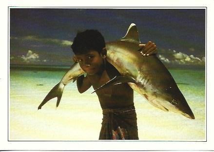 POSTAL A2506: Niño con tiburon en Maldivas