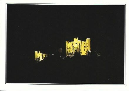 POSTAL A2488: Castillo de Hohenschwangau en Baviera