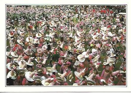 POSTAL A2528: Carnaval de Rio de Janeiro