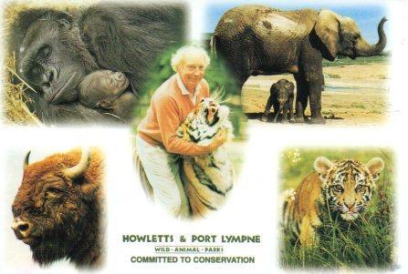 POSTAL PV02281: Howletts and Port Lympne, Kent