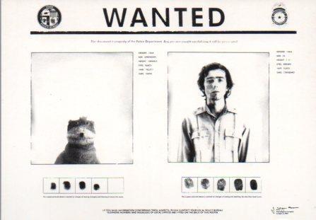 POSTAL PV02318: Publicidad Levi's wanted