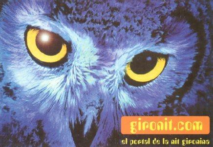 POSTAL PV01639: Publicidad gironit.com