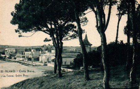 POSTAL PV03140: La Fosca Entre Pins, Palamos
