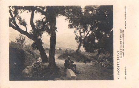 POSTAL PV03346: Camino de Rosas a Cadaques
