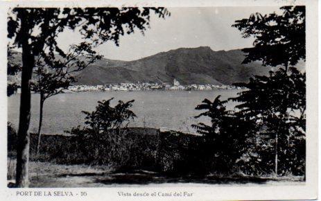 POSTAL PV03360: Port de la Selva vista desde el Cami del Far