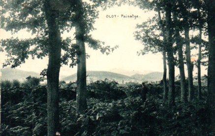 POSTAL PV03227: Paisatge a Olot