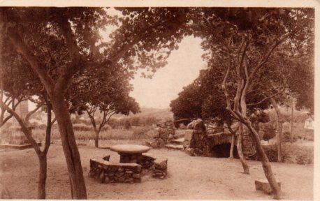 POSTAL PV03289: Canet de Mar. Font del Bosc-jardi