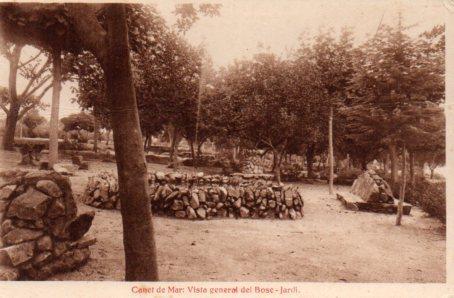 POSTAL PV03292: Canet de Mar.Vista general del Bosc-jardi