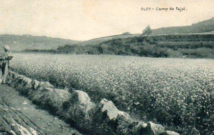 POSTAL PV03247: Camp de Fajol, Olot