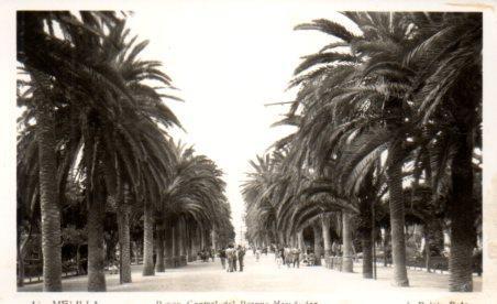 POSTAL PV02715: Paseo del Parque Hernandez en Melilla. L. Roisin foto
