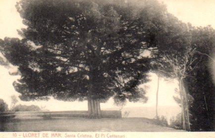 POSTAL PV02773: El Pi Centenari Santa Cristina