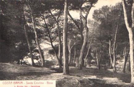 POSTAL PV02757: Santa Cristina bosc, Costa Brava