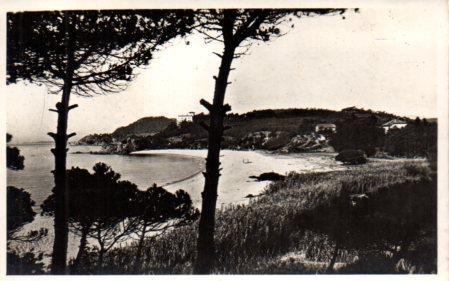 POSTAL PV02741: Playa de Fanals vista general, Lloret de Mar
