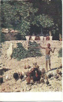 POSTAL A3169: Conductor de pavos, por Jose Villegas