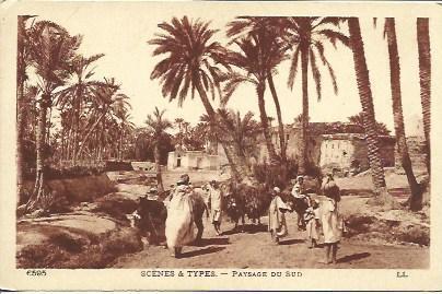 POSTAL A3095: Paisaje del sur de Marruecos
