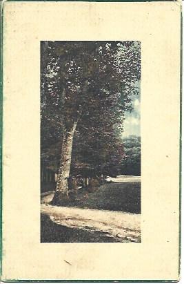 POSTAL A3324: Dibujo de paisaje