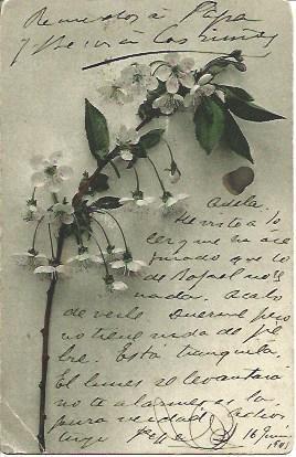 POSTAL A3343: Flores