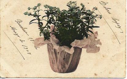 POSTAL A3342: Maceta con flores