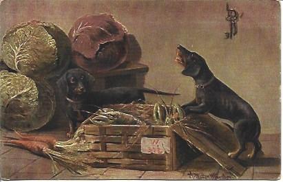 POSTAL A3229: Perros con verduras
