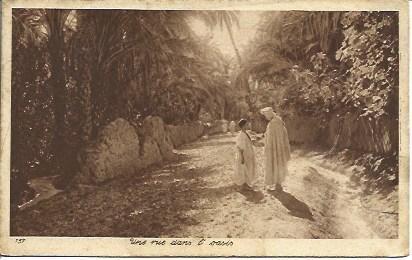 POSTAL A2815: Calle en un oasis