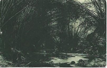 POSTAL A2991: Nacimiento del rio Ekuko en Guinea