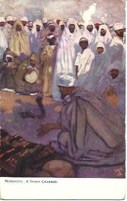 POSTAL A2995: Domador de serpientes. Marruecos